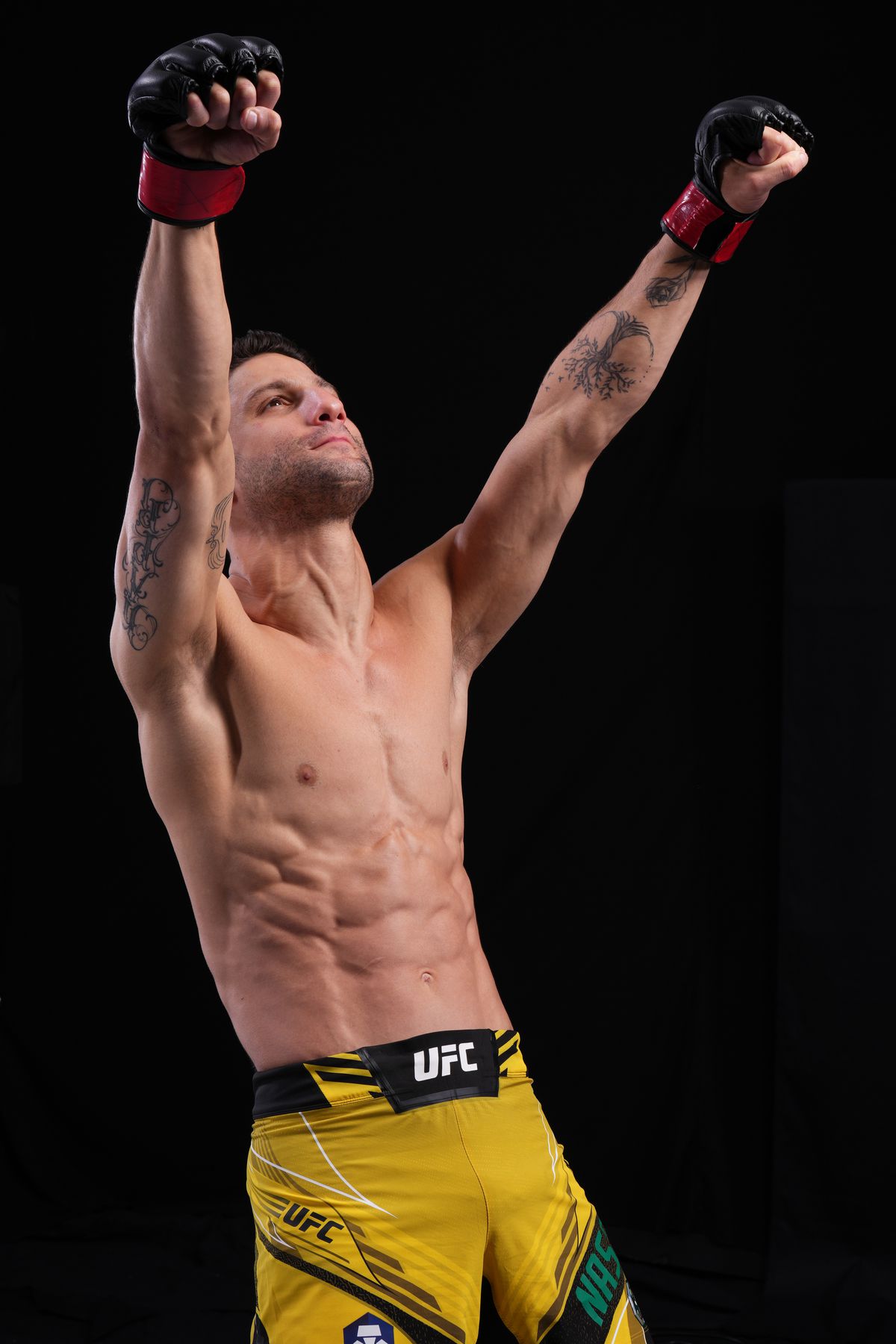 UFC Fight Night: Strickland v Imavov