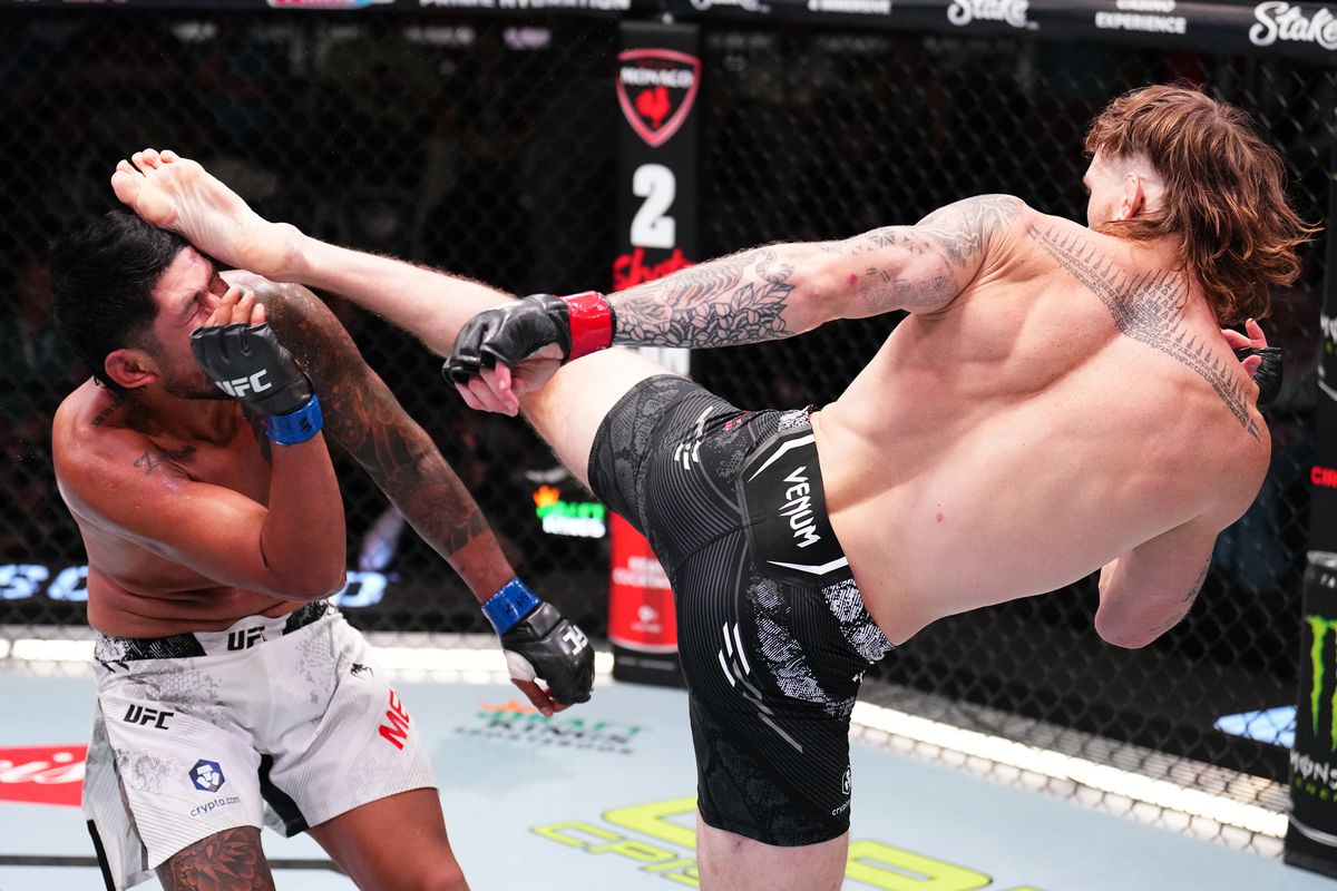 UFC Fight Night: Reese v Medina