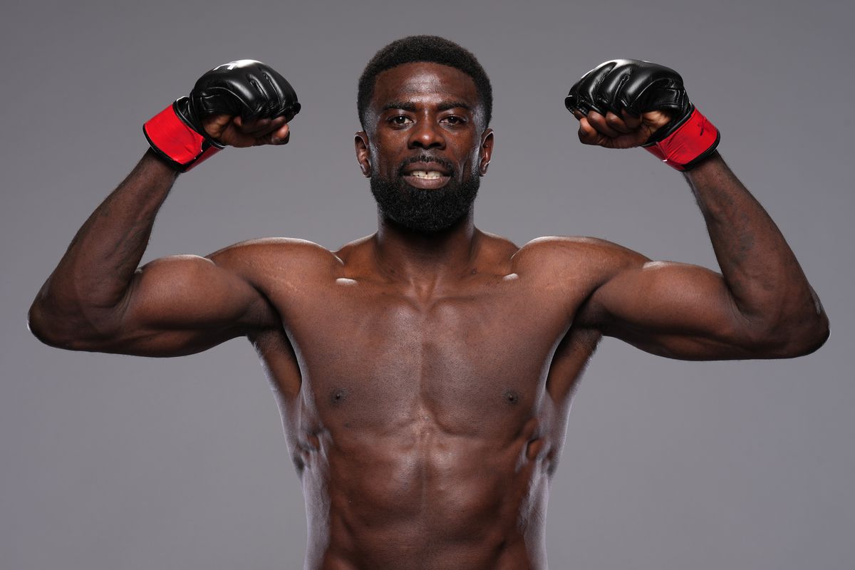 UFC Fight Night: Vettori v Dolidze 2