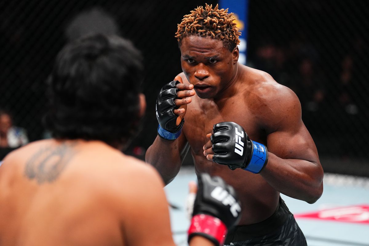 UFC Fight Night: Medina v Gautier