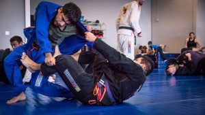 training for martial arts