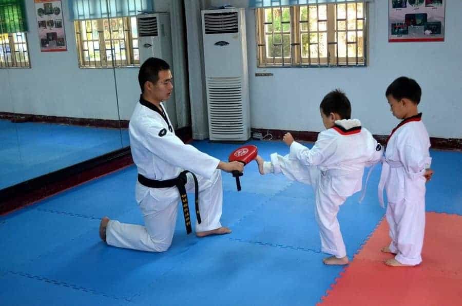 10 Most Popular Martial Arts (Combat Sports) in the World - Updated 2024 ITF and WT Taekwondo. What Are the Differences?