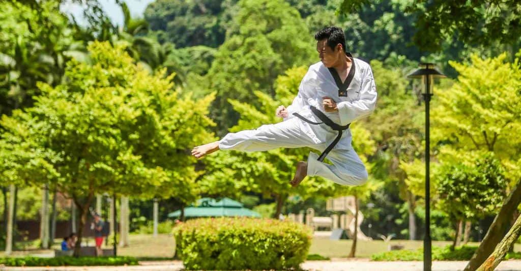 10 Most Popular Martial Arts (Combat Sports) in the World - Updated 2024 10 Most Popular Martial Arts (Combat Sports) in the World